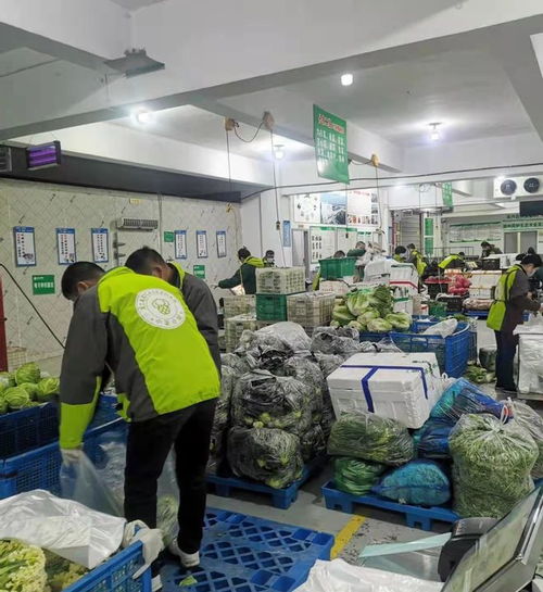 織里供銷出硬招，服務保障暖人心——初級農產品收購工作見實效