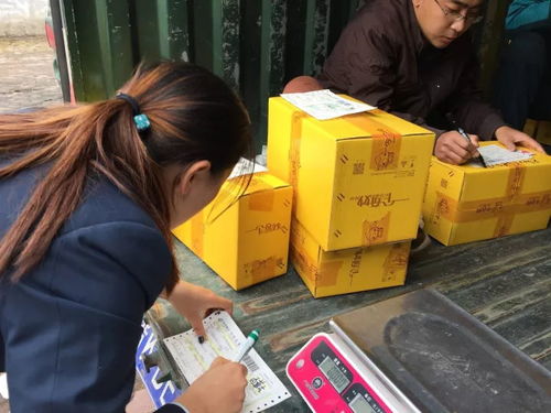 電商賦能太行百歲品牌，助力初級農產品收購新篇章