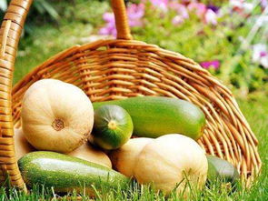 立足田間地頭，胸懷星辰大海 農產品電商創業者的心態修煉與收購之道